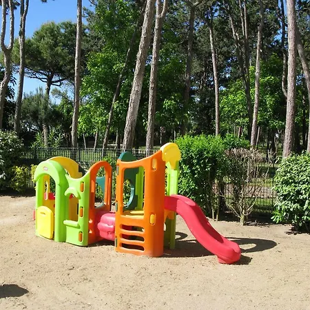 Florida קאורלה
